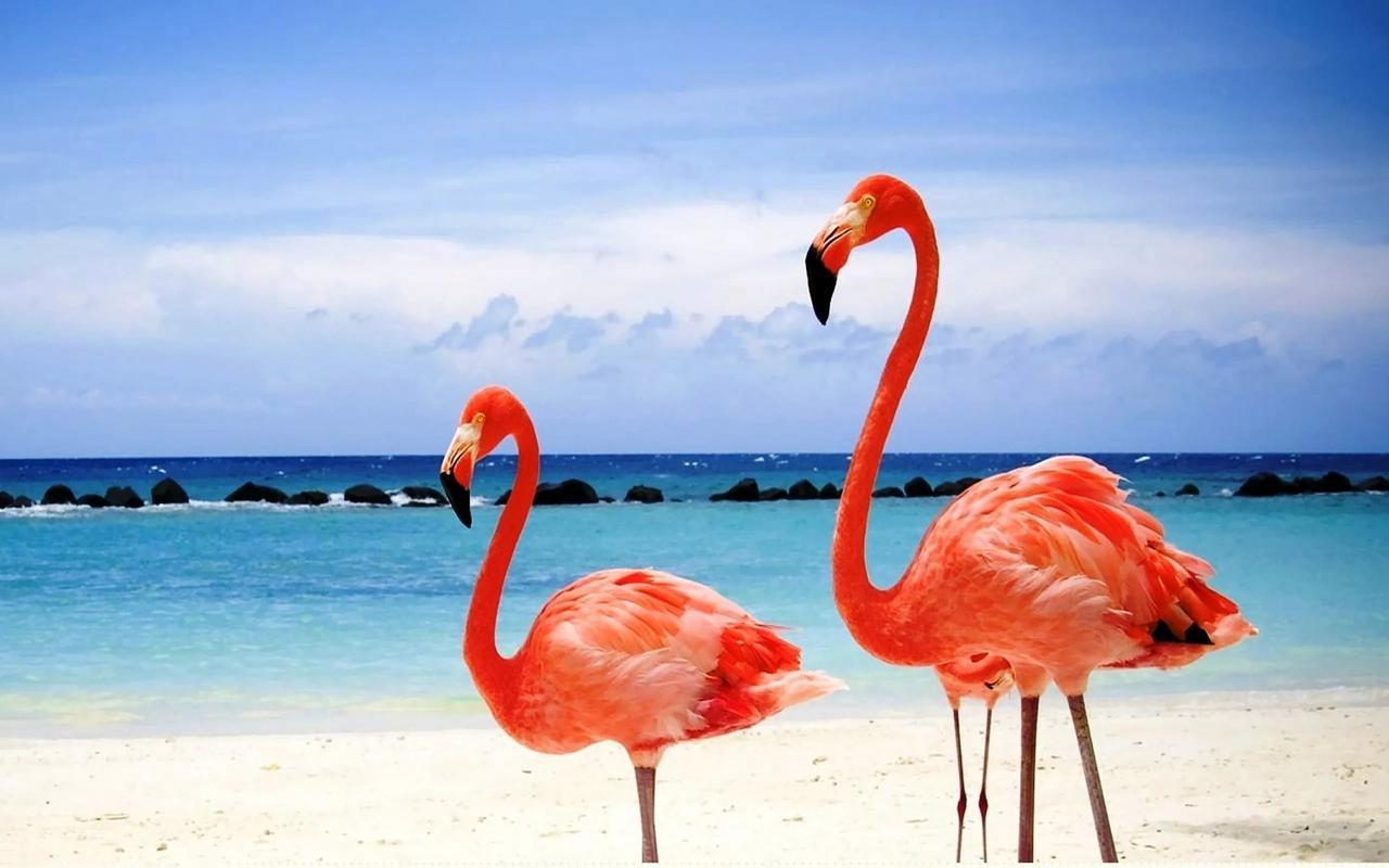 Whitby Pelican Beach Hotel מראה חיצוני תמונה